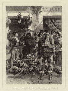 スペインのマラガの市場でクリスマス七面鳥を購入する 作： Edwin Buckman